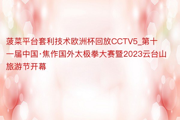 菠菜平台套利技术欧洲杯回放CCTV5_第十一届中国·焦作国外太极拳大赛暨2023云台山旅游节开幕
